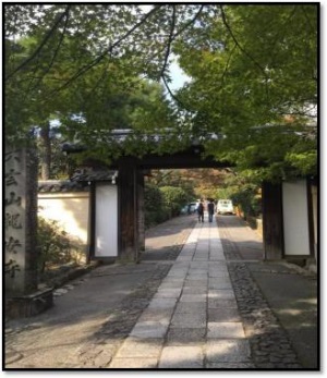 1577420950247949.jpg 3.jpg