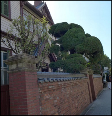 1577421628101912.jpg 24.jpg