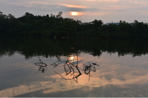 1577453110825952.jpg 1.jpg