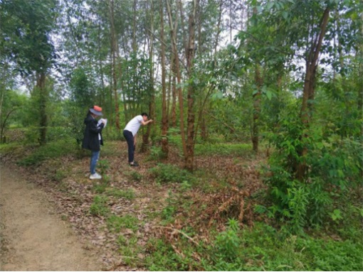 1577699899268088.jpg 3.jpg