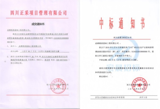 1577700858220279.jpg 5.jpg