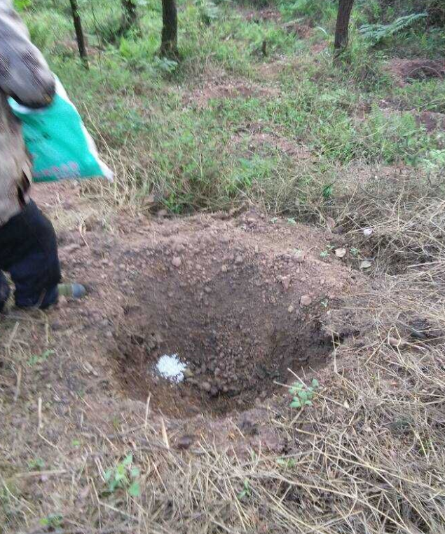 ʯɽʩ׷ľ޼ֲ2.png