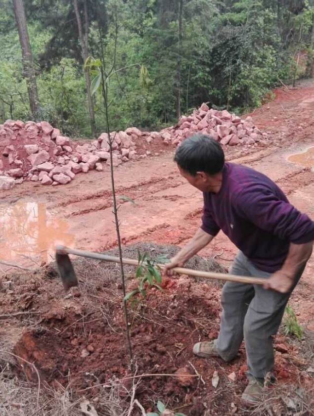 ʯɽʩ׷ľ޼ֲ4.png