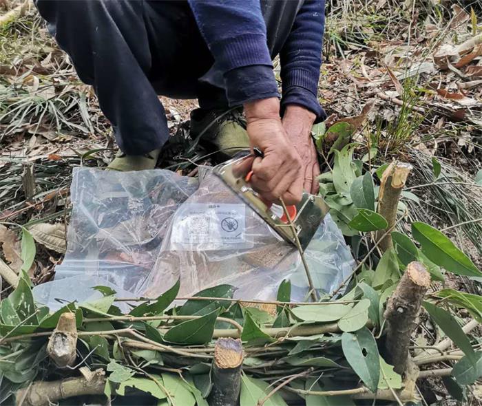 1583747706846008.jpg 11.jpg