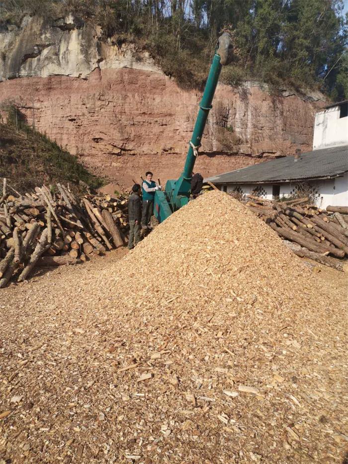 1583747791573995.jpg 3.jpg