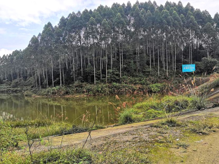 1584426017815406.jpg ´ó¹ÛÁ¢ÂØ22.jpg