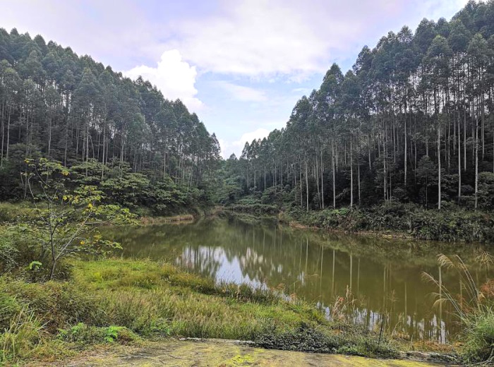 1584426027240979.jpg ´ó¹ÛÁ¢ÂØ33.jpg