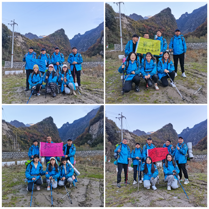 1668409462933319.jpg 4.jpg